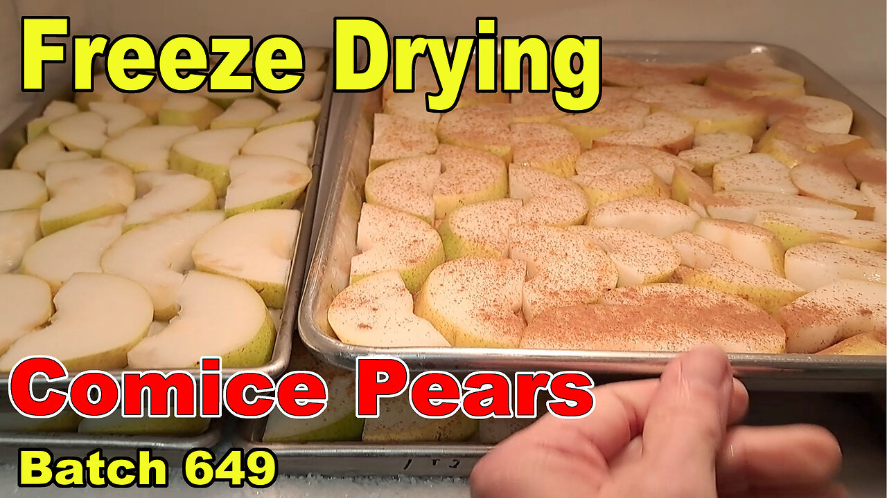 Batch 649 Freeze Drying - Comice Pear Slices