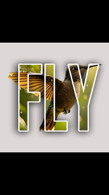 Typography Poster Tutorial in Photoshop