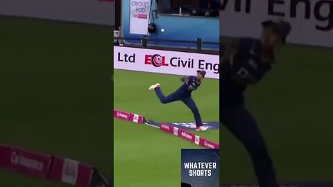 Amazing catch in cricket #shorts #sports #cricket #catch #amazing