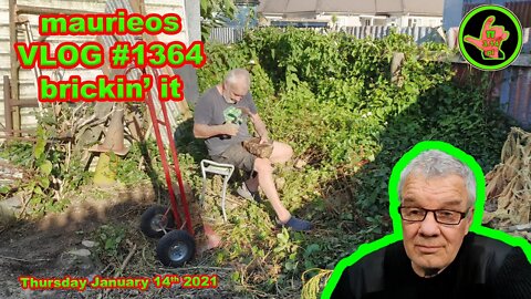 maurieos VLOG #1364 brickin' it