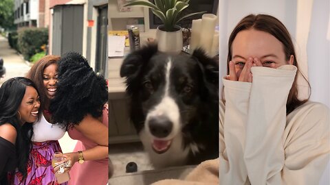 FUNNY PETS Try Not to LAUGH 😂 tiktok compilation part 2