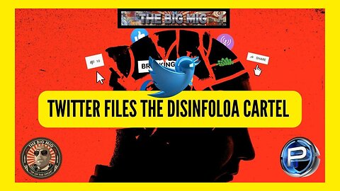 TWITTER FILES - ‘THE DISINFOLOA CARTEL’