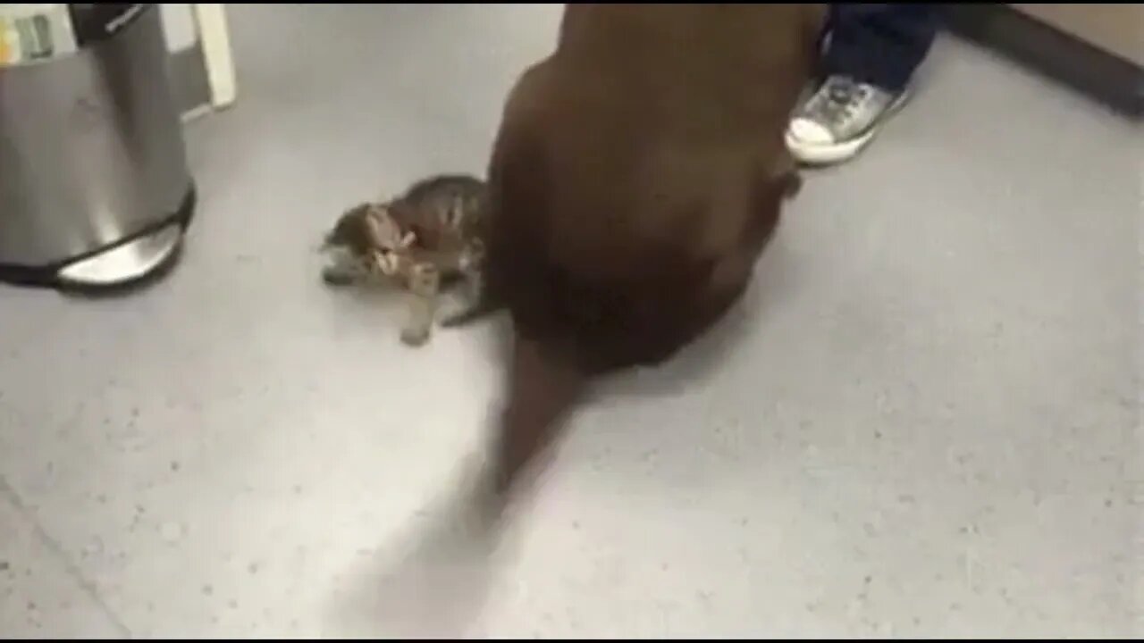 I shall defeat thee