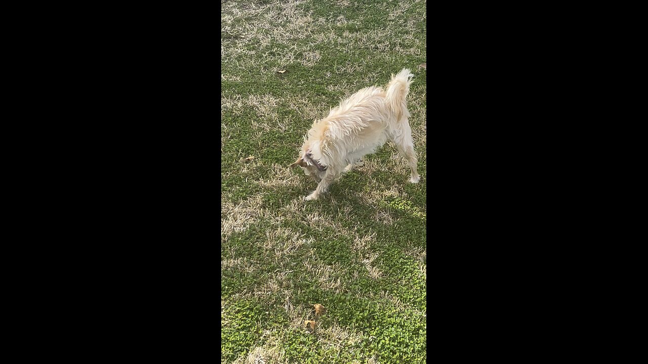 Clemson exploring outside