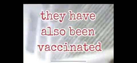 86 The Chicken VAXX ~ AUTOMATIC CHIX VACCINE MACHINE