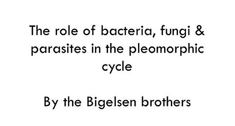 Understand Bacteria, Parasites, Fungus and Mold through Pleomorphism and why ...