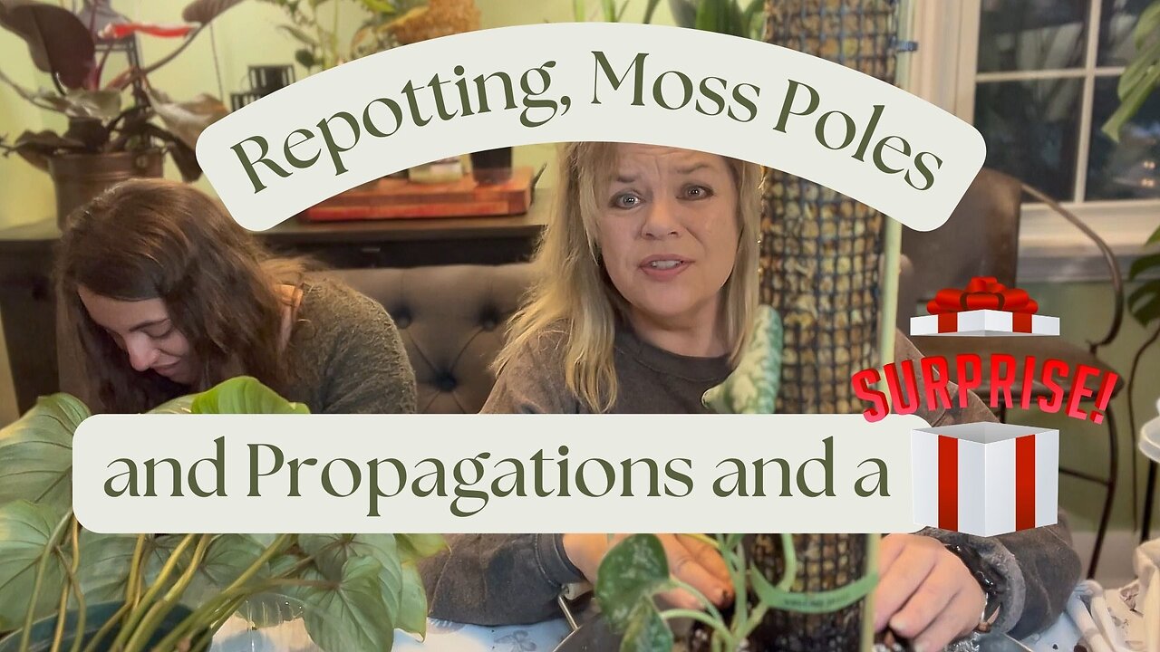 ๐งค An Evening of Repotting, Moss Poles and Propagations!! ๐
