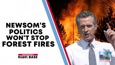 Progressive Policies Don't Help Forest Fires