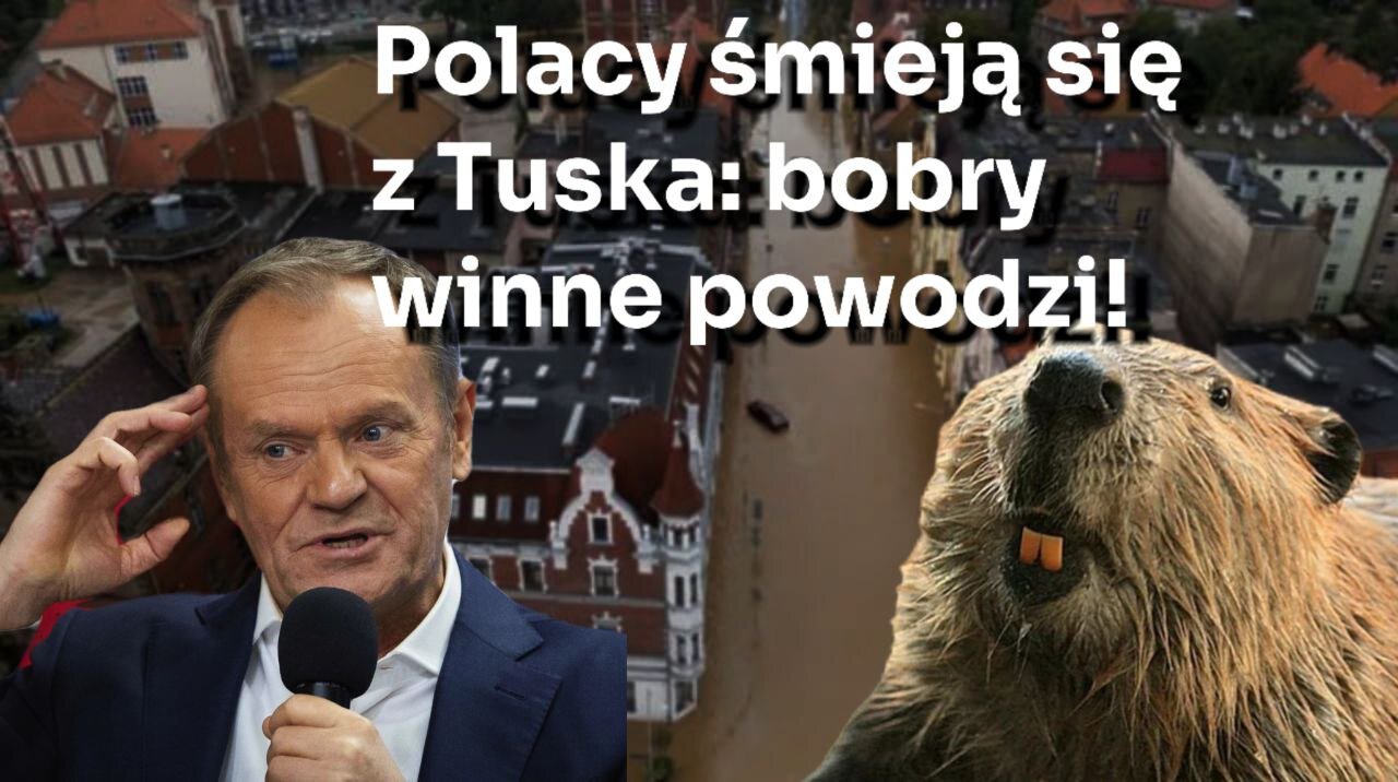 Ekologia w Polsce. Bezsilność władz na Zachodzie. Zielona agenda | Białoruska wizja