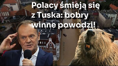 Ekologia w Polsce. Bezsilność władz na Zachodzie. Zielona agenda | Białoruska wizja