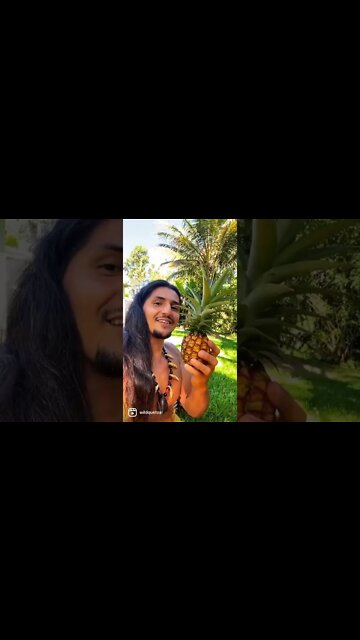 What does your wild undomesticated version look and behave like?