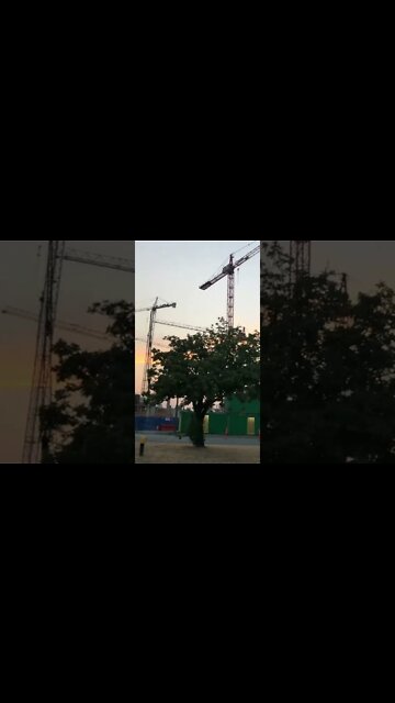 Oakridge Redevelopment update