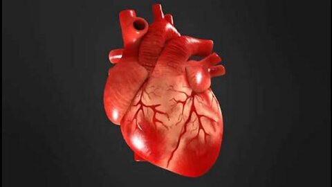 Vaxed Heart Problems