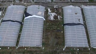 Drone footage of marijuana farm discovered in Franklin