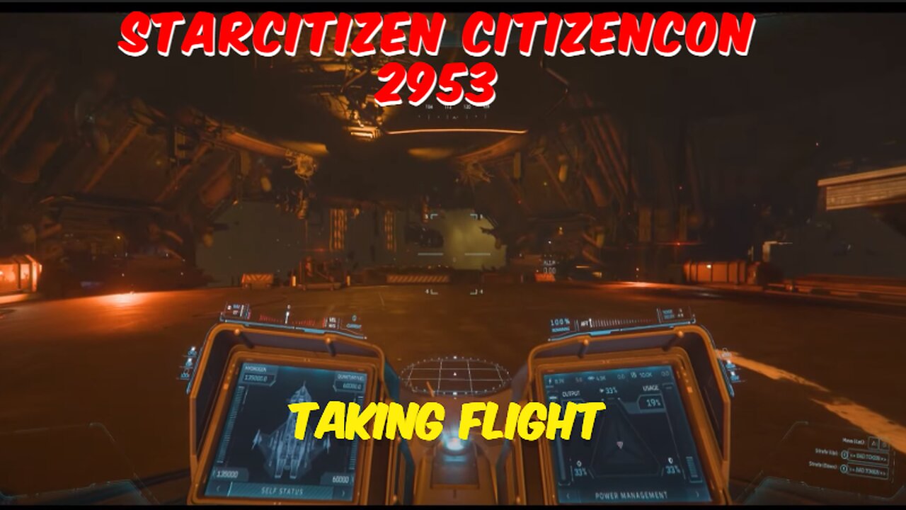 Star Citizen | CitizenCon 2953 | Taking flight