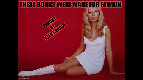 These boobs were made for fawkin (parody)
