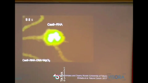 Asi cortan el ADN con nano tecnología.
