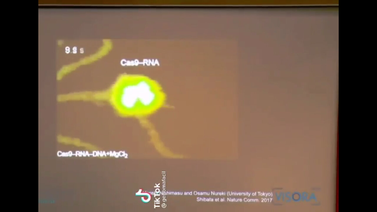 Asi cortan el ADN con nano tecnología.