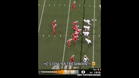 Jeremiah Smith is a 17 year old true freshman, and is going off in the College Football Playoffs