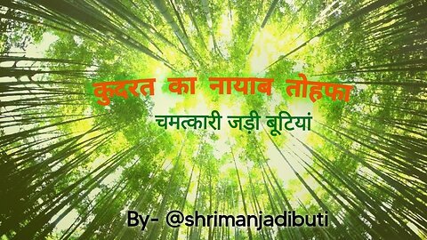 wonderful herb