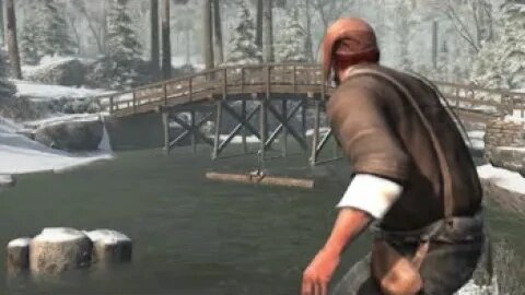 River Rescue (Assassin's Creed III)
