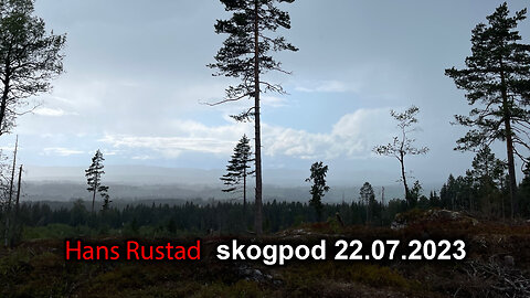 Skogpod 22. juli 2023