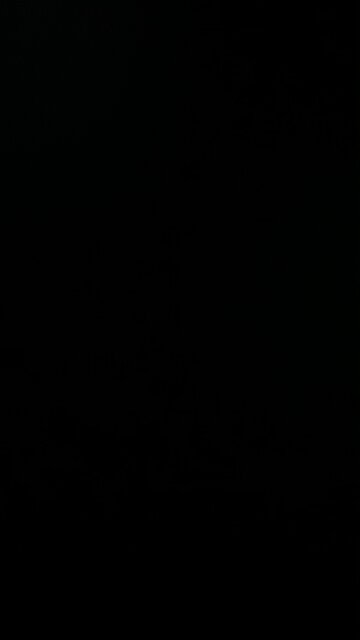 Election interference