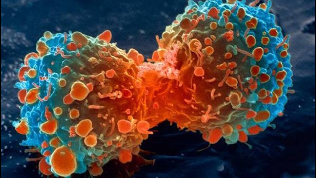 La conspiración médica del cáncer E.Griffin.