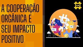 O Bitcoin possui cooperação orgânica e um impacto social positivo - [CORTE]