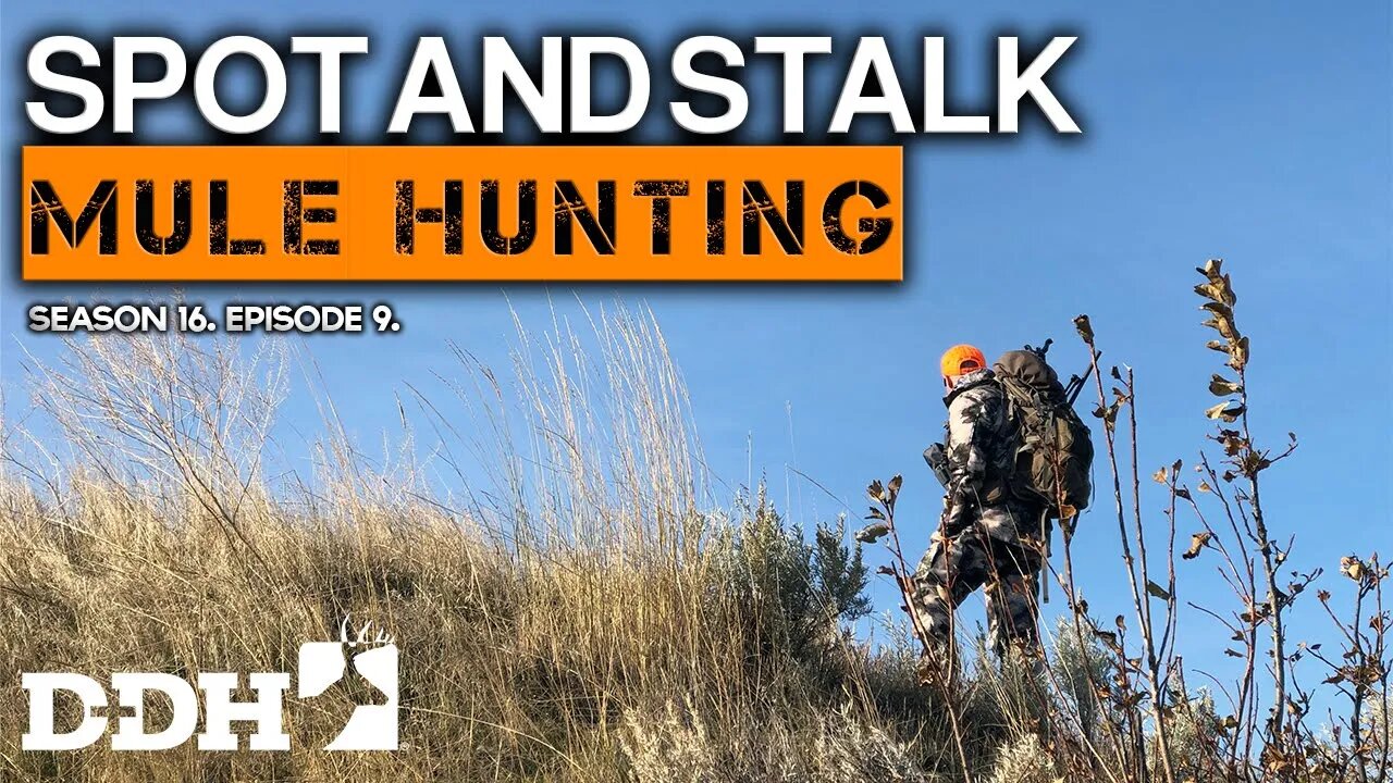 Spot and Stalk Hunting | Deer & Deer Hunting TV