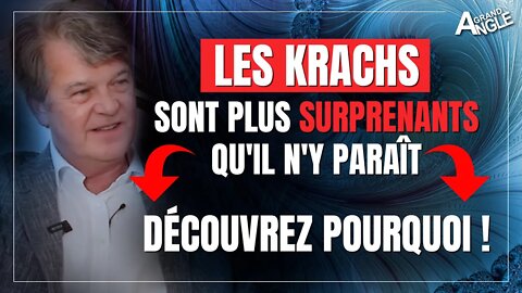 Les krachs sont plus surprenants qu'il n'y paraît, et voilà pourquoi ! [Didier Darcet]