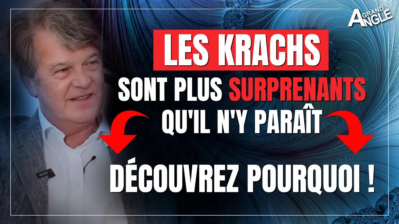 Les krachs sont plus surprenants qu'il n'y paraît, et voilà pourquoi ! [Didier Darcet]