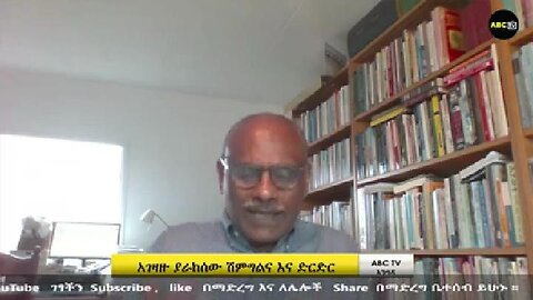 Interview With Dr Assefa Negash : How Do You Describe Abiye's Regime