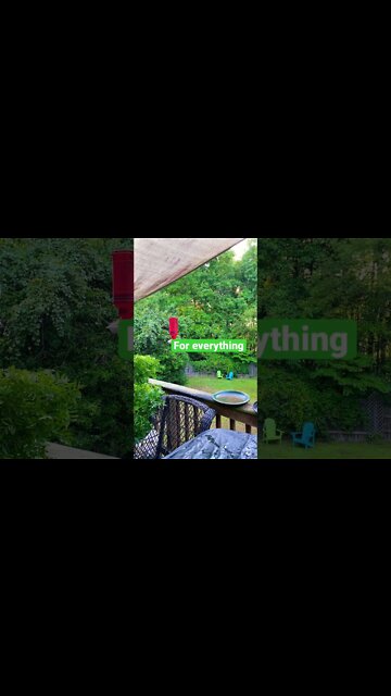 Morning Zen Being Grateful is always the best start #shorts