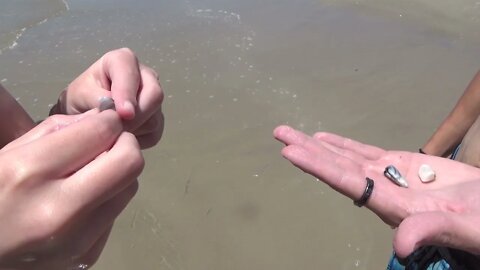 North Padre Island Beach Time 2021