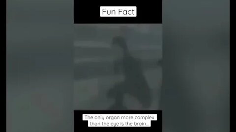 Fun Fact about your Body