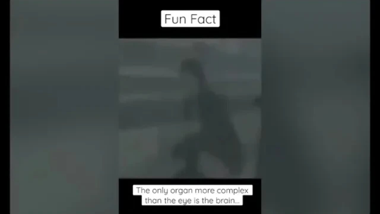 Fun Fact about your Body