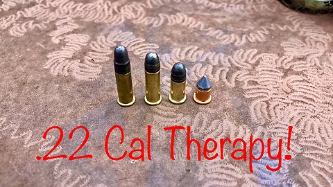 .22’s Are Awesome! Flobert, Short, Long, And Long Rifle Plinking
