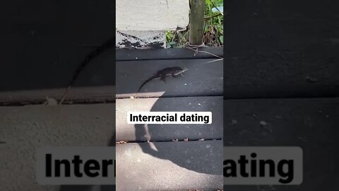 Interracial Dating