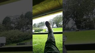 True Freeman Hiding From Work