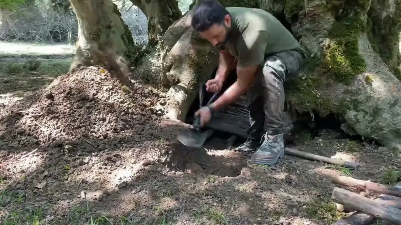 Build a warm shelter with a fireplace inside a 5,000 year old tree.20