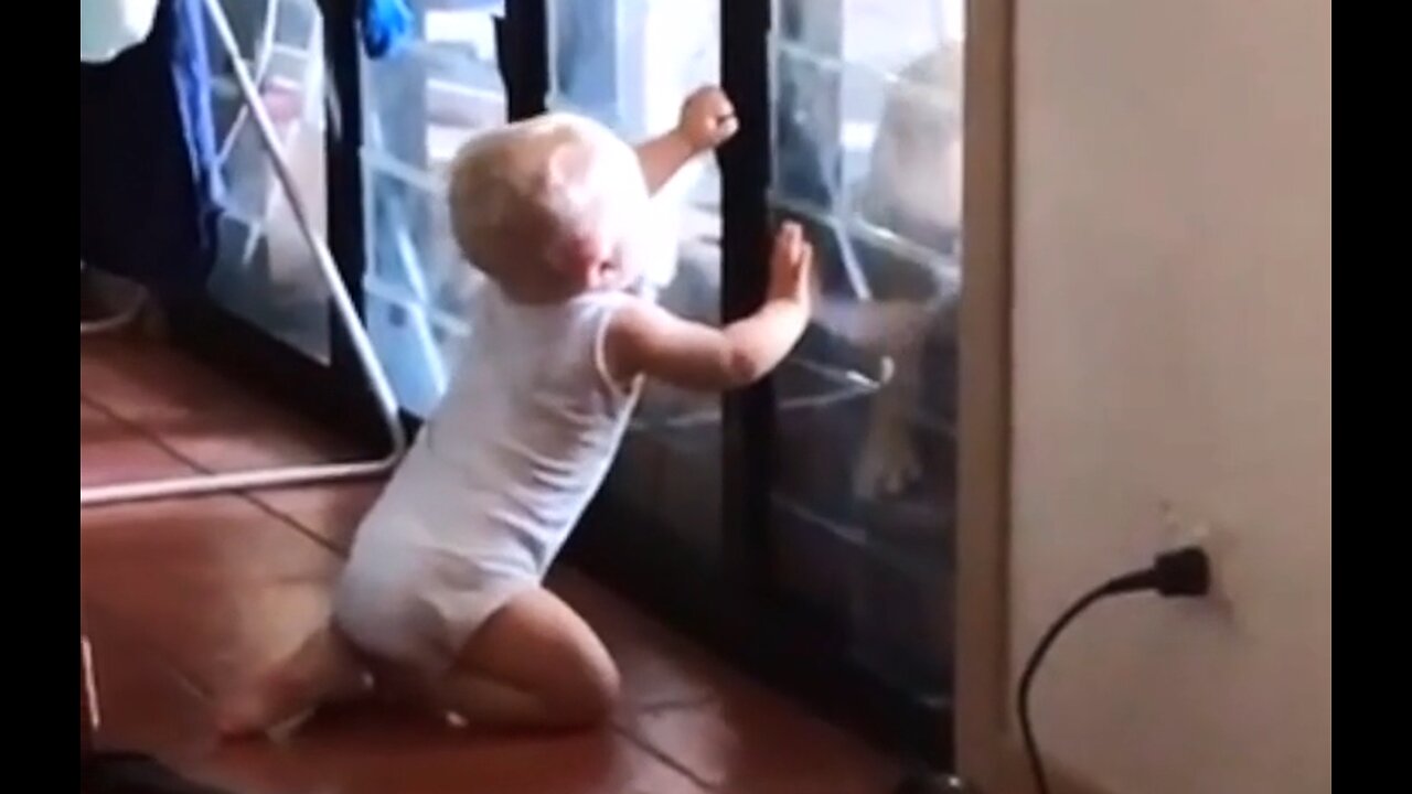 Baby Helps Puppy Break Into House - It's cold and I miss you so much!
