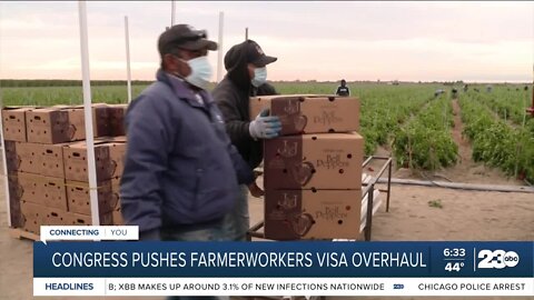 Democrat leaders hoping to pass citizenship pathway for farmworkers