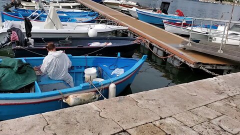 Puerto Romano de Brindisi Italy dedicado a vitalopti