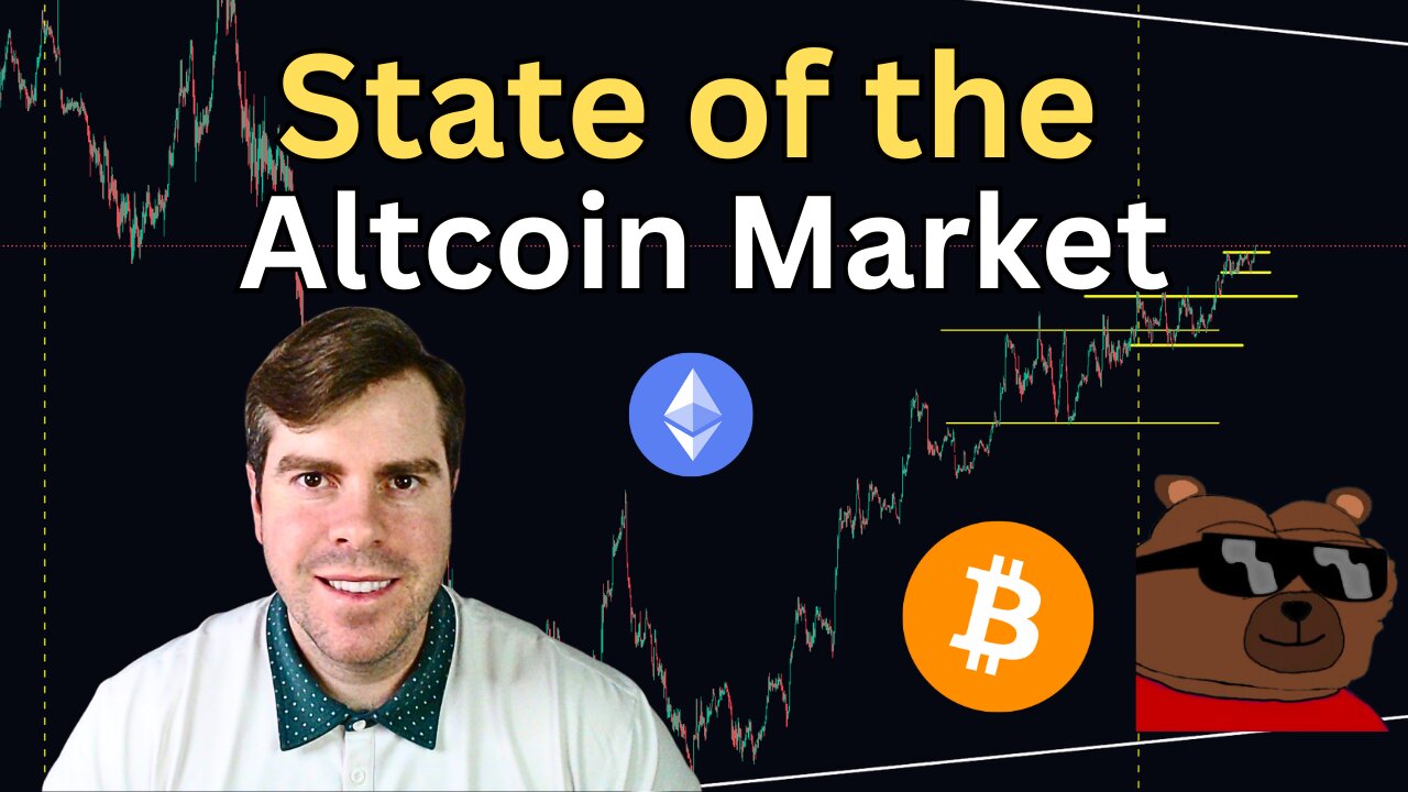 State of the Altcoin Market: Building My Portfolio