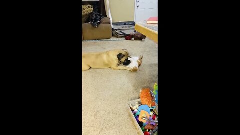 Georgie & Louis
