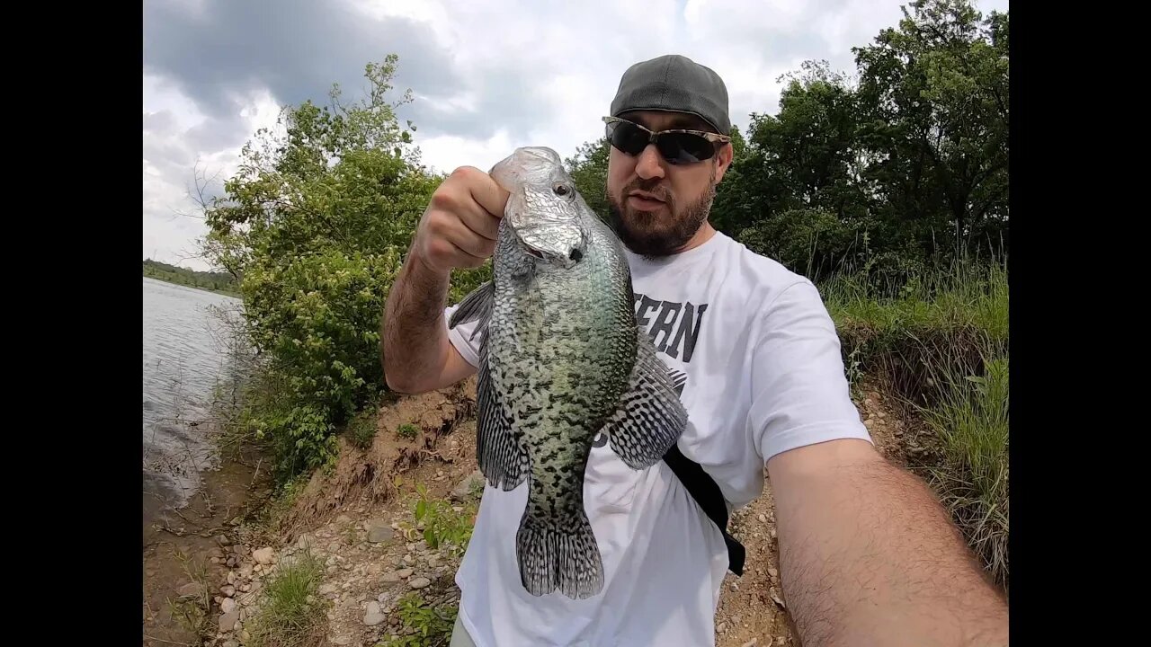 MEGA crappie caught on a topwater lure!