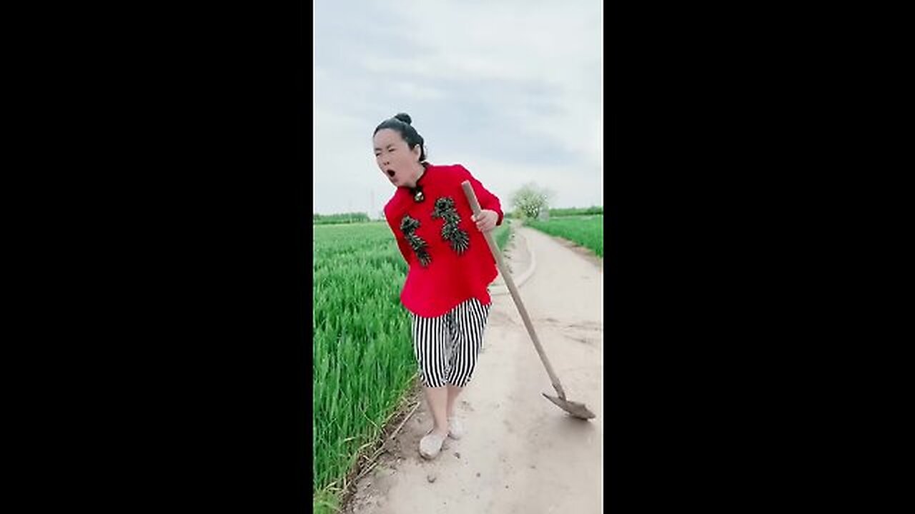 Best#funny #video #chinese#clip