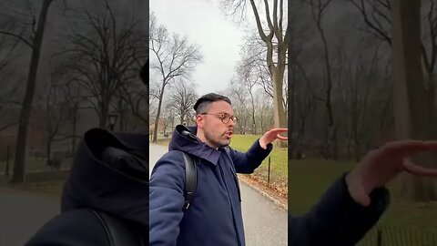 The Ice Age Rock of Central Park