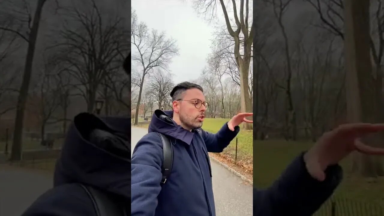 The Ice Age Rock of Central Park